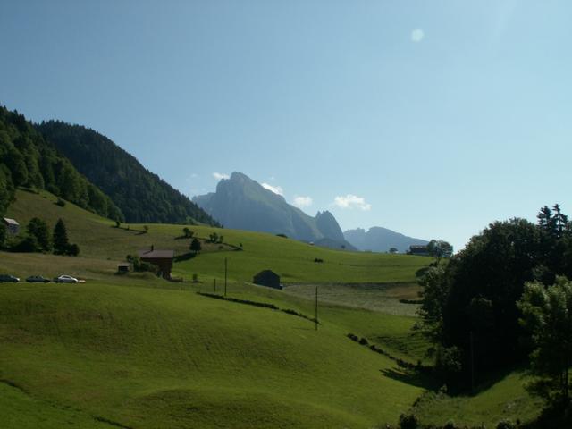 Blick Richtung Wildhuser Schafberg