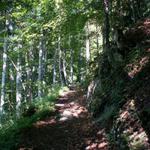 im Wald aufwärts Richtung Böstritt