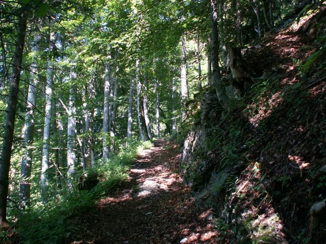 im Wald aufwärts Richtung Böstritt