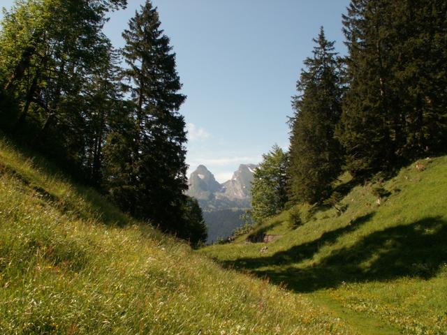 Blick vom Risi Richtung Churfirsten