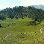 Breitbildfoto von der Gräppelenalp