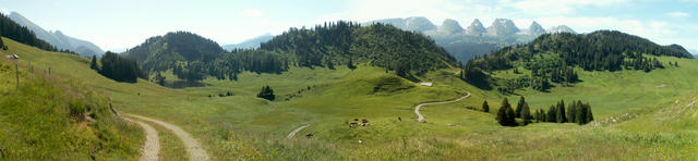 Breitbildfoto von der Gräppelenalp