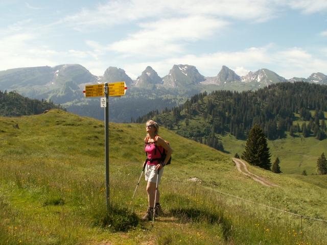 Mäusi, im Hintergrund die Churfirsten