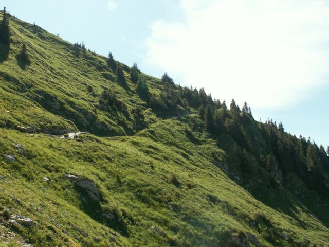 Bergweg Richtung Lütispitz