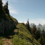 einfacher Weg Richtung Lütispitz