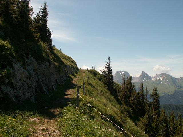 einfacher Weg Richtung Lütispitz