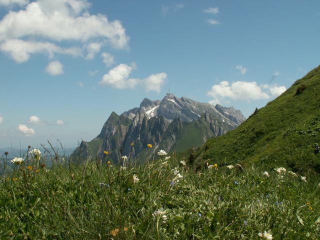 der Säntis