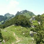 Blick Richtung Gmeinenwis, Neuenalpspitz