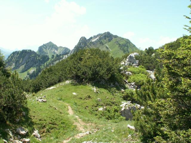 Blick Richtung Gmeinenwis, Neuenalpspitz