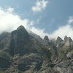 Bergwanderung Seewlistock 20.6.2007