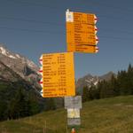 Wegweiser bei der Bergstation Brüsti