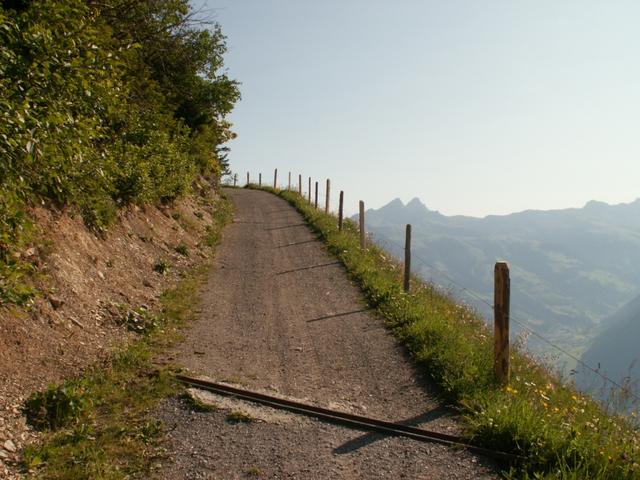 Weg nach Brüsti