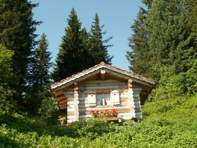 so ein schönes kleines Blockhaus sollte man besitzen