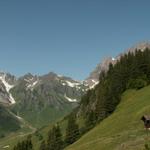 Blick runter ins Waldnacht Tal, zuhinterst der Surenenpass