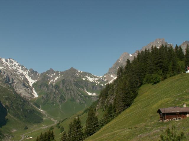 Blick runter ins Waldnacht Tal, zuhinterst der Surenenpass