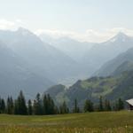 Breitbildfoto von Seewli mit Blick Richtung Bristen