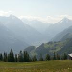 Breitbildfoto von Seewli mit Blick Richtung Bristen