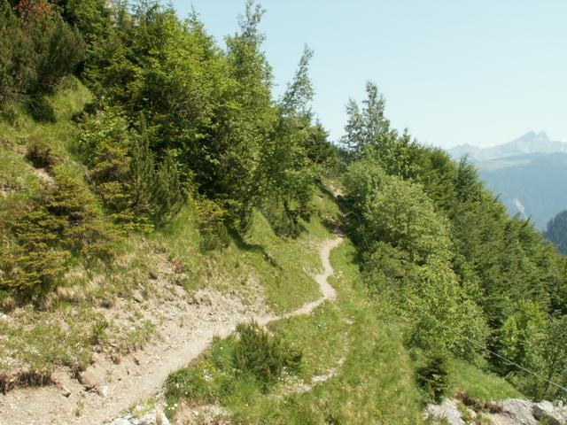 Weg Richtung Gitschenberg