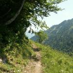 Weg Richtung Gitschenberg