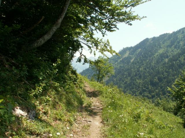 Weg Richtung Gitschenberg