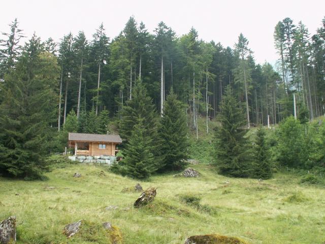 schöne Waldhütte