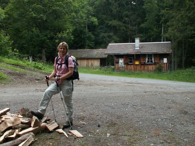 Mäusi bei Hübschen Waldboden