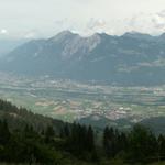 Breitbildfoto Rheintal und Fürstentum Liechtenstein