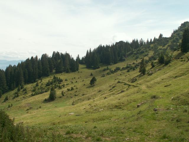 bei Pania