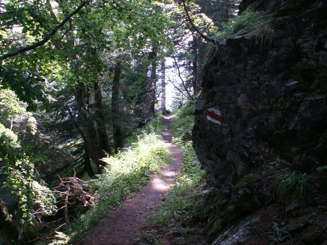 auf dem Weg Richtung Guggstein