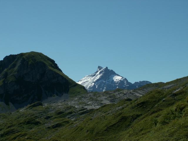 Schärhorn