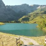 Waldisee 1406 m.ü.M.