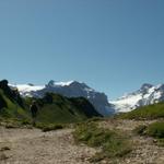 Ruosalper Chulm 2178 m.ü.M. im Hintergrund Schärhorn und Clariden