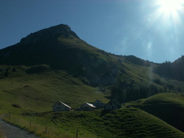 Mittler Stafel 1464 m.ü.M.