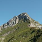 Blick Richtung Fronalpstock