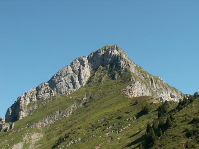 Blick Richtung Fronalpstock