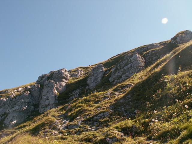 noch ein kurzes Stück und wir sind auf dem Fronalpstock