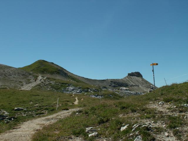 Schilt mit Tristli