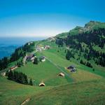 Wanderung Urmiberg-Rigi 21.7.2003