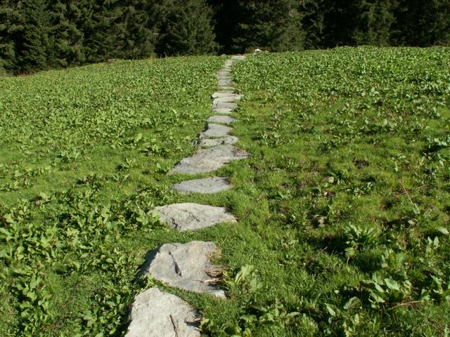 gut ausgebauter Weg