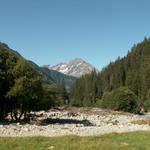 Maderanertal mit Bristen im Hintergrund