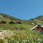 Hinterbalm 1817 m.ü.M.