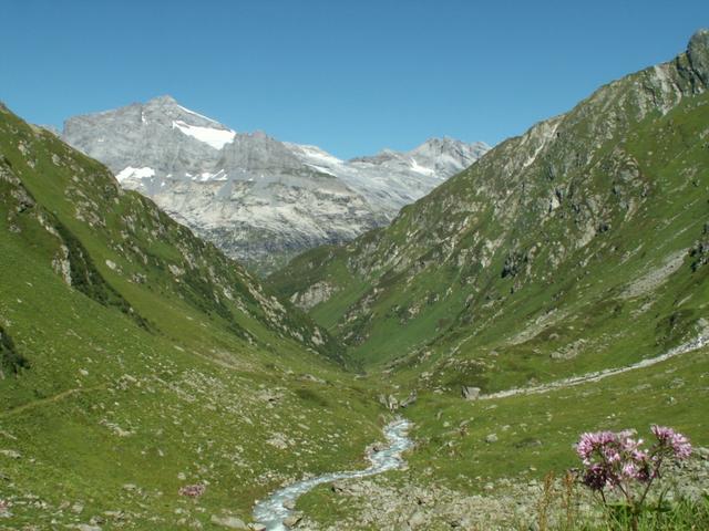 Blick zurück