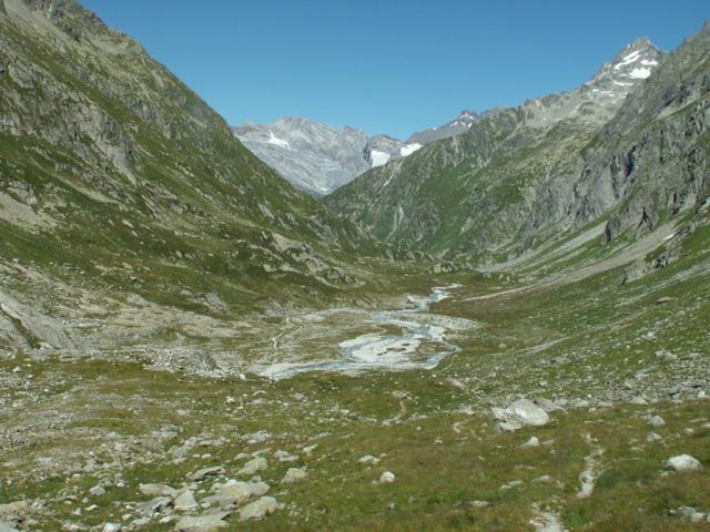 Blick zurück