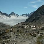 Schafe bei der Cavardiras Hütte