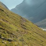 Bergweg Richtung Alp Cavrein Sura