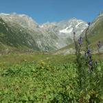 Blick ins Val Gronda da Cavrein