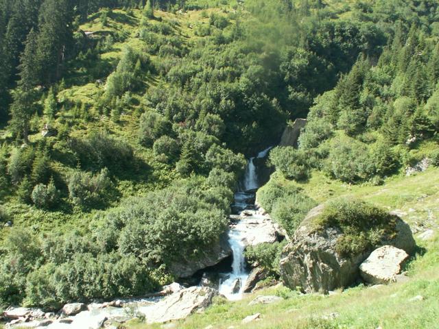 tosende Wildbäche