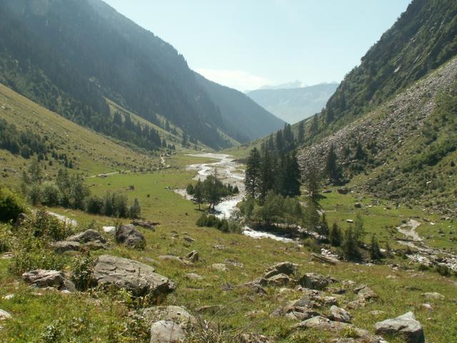 Alp Cavrein Sut