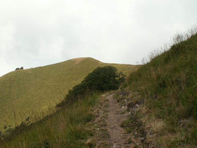 weiter Richtung Monte Boglia