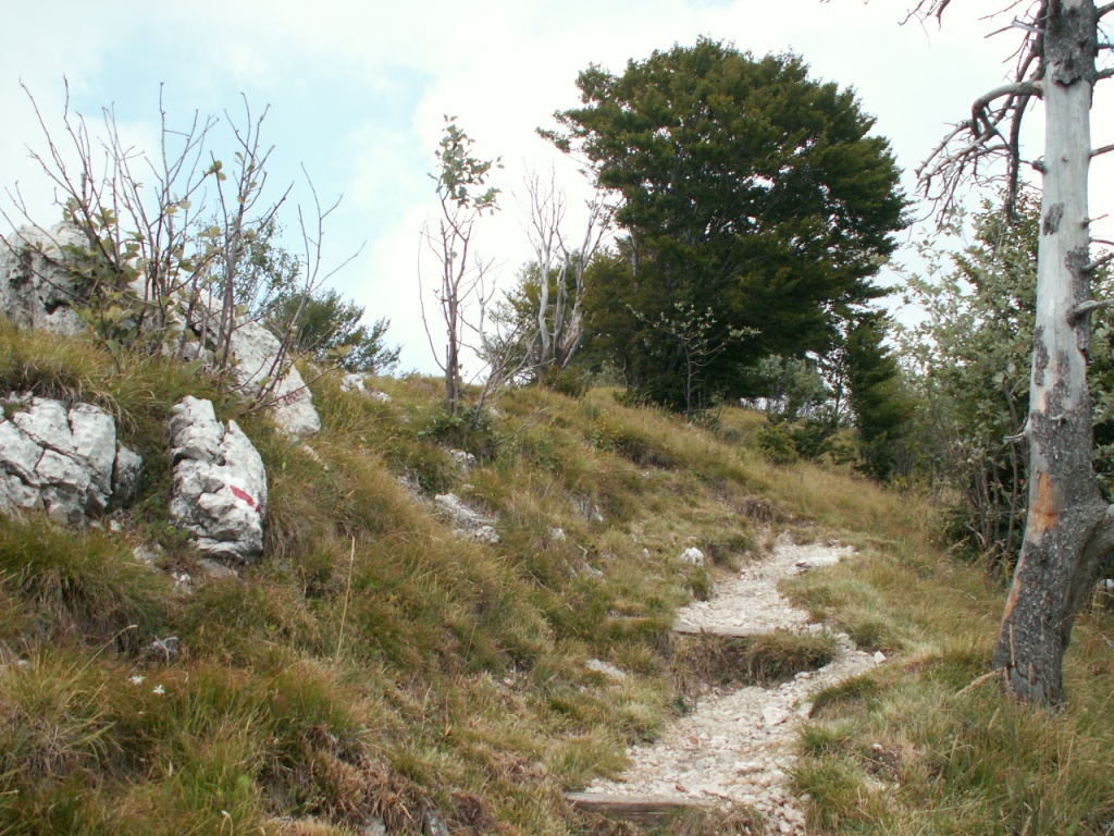 schöner Wanderweg